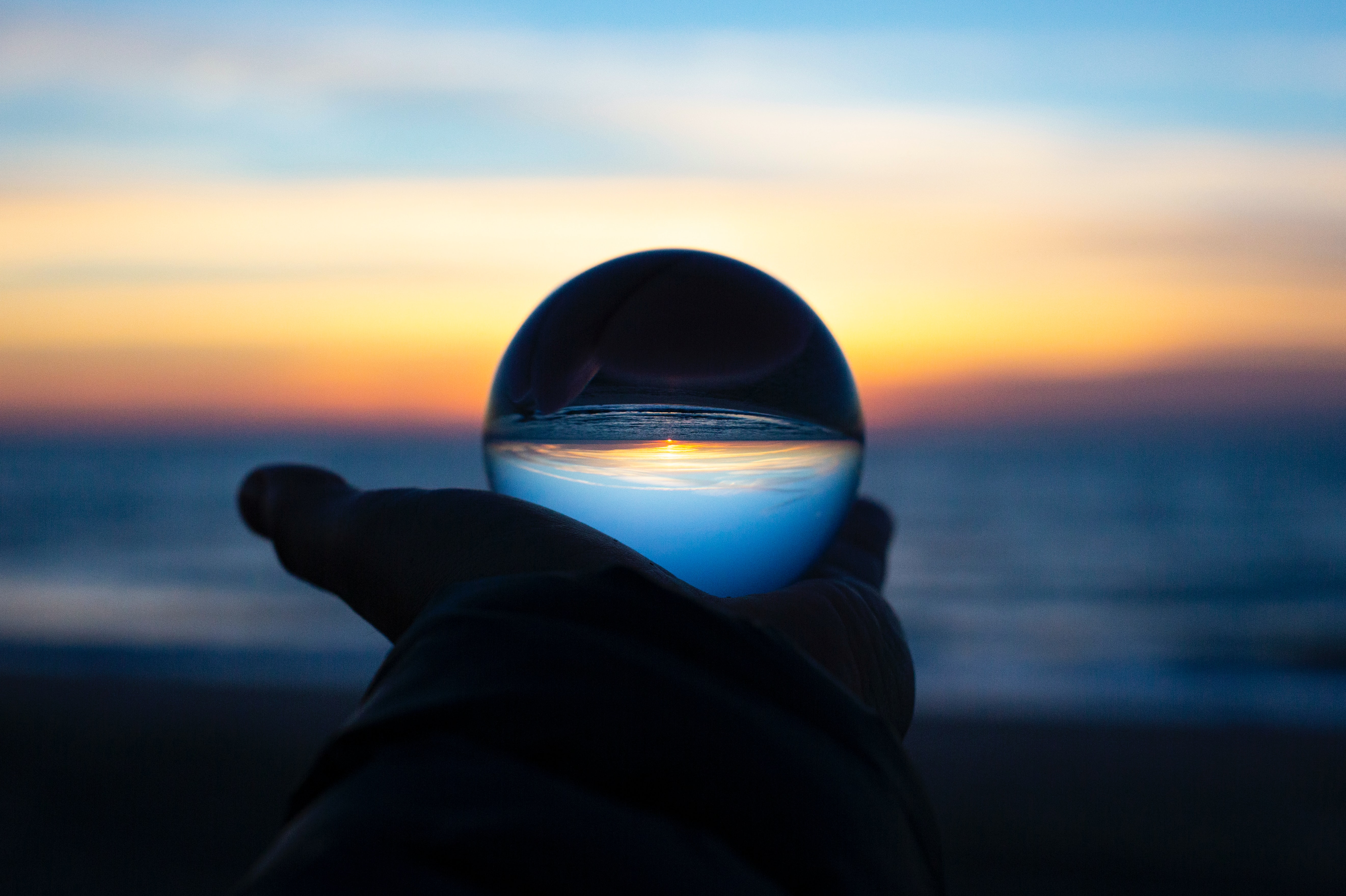 future trade predictions