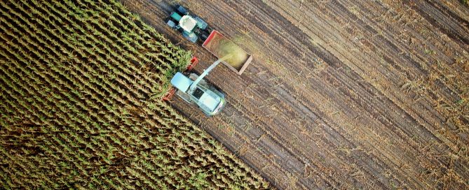 agriculture
